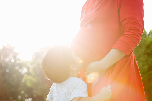 A MATERNIDADE SOLO E OS DIREITOS DE FAMÍLIA